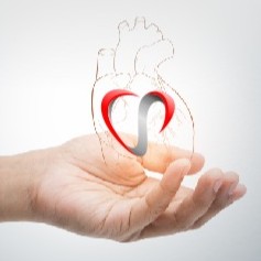 Mão segurando um coração — cuidado com a saúde e a vida