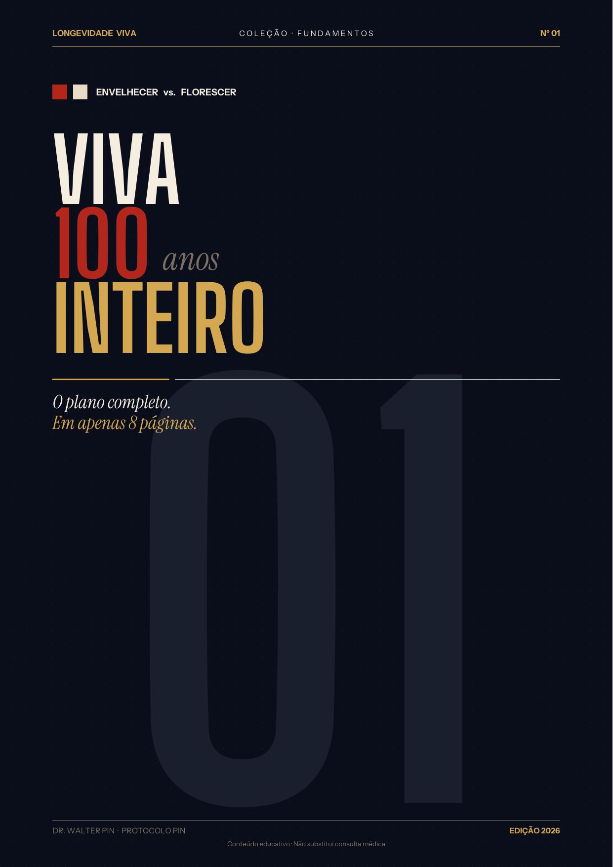 Pré-visualização da capa — Viva 100: o plano em 8 páginas